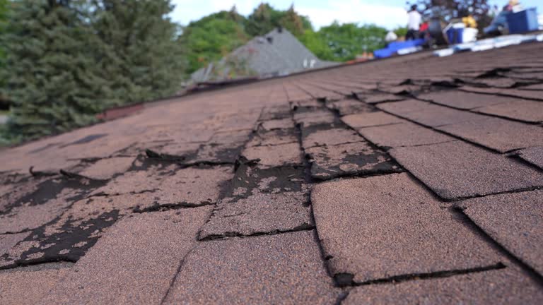 Best Rubber Roofing (EPDM, TPO)  in New Haven, CT